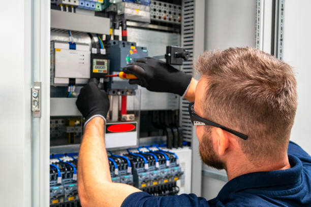 Best Ceiling Fan Installation Electrician  in Peotone, IL